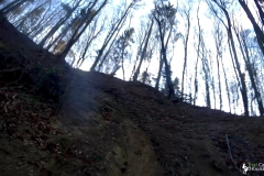 vlcsnap-2022-02-06-15h55m20s215_watermark