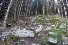 vlcsnap-2022-05-13-22h33m51s092_watermark