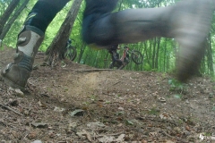 vlcsnap-2022-07-10-12h58m31s108