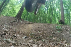 vlcsnap-2022-07-10-12h59m57s183