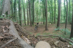 vlcsnap-2022-07-10-13h04m48s957