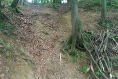 vlcsnap-2022-07-10-19h45m26s607