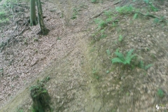 vlcsnap-2022-07-10-19h46m29s884