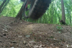 vlcsnap-2022-07-10-20h40m57s914