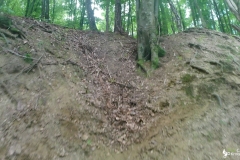 vlcsnap-2022-07-10-22h25m22s334