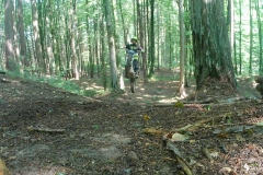 vlcsnap-2022-07-25-10h34m10s000