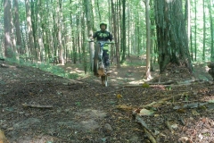vlcsnap-2022-07-25-10h34m40s175