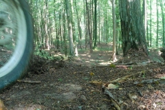 vlcsnap-2022-07-25-10h39m49s735