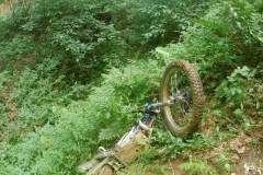 vlcsnap-2022-07-27-12h41m50s754