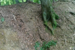 vlcsnap-2022-07-27-12h53m41s411