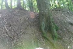 vlcsnap-2022-07-31-14h11m32s820
