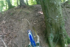 vlcsnap-2022-07-31-14h12m57s890