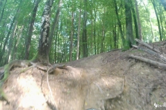 vlcsnap-2022-08-28-19h13m33s469