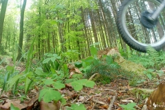 vlcsnap-2023-05-01-21h22m56s704