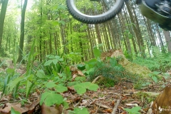 vlcsnap-2023-05-01-21h23m05s554