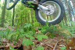 vlcsnap-2023-05-01-21h23m13s333