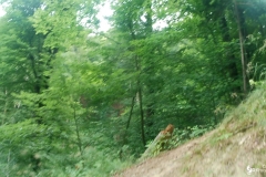 vlcsnap-2023-07-01-16h30m44s945