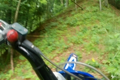 vlcsnap-2023-07-01-16h31m03s724