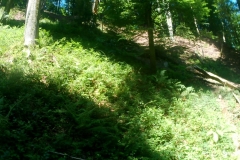 vlcsnap-2023-07-15-17h20m21s121