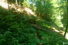 vlcsnap-2023-07-15-17h24m04s111