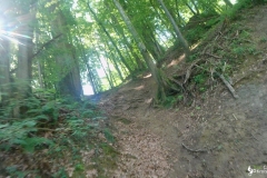 vlcsnap-2023-07-16-17h16m17s577