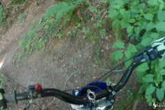 vlcsnap-2023-07-16-17h33m20s113
