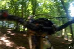 vlcsnap-2023-07-25-11h38m35s973